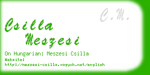 csilla meszesi business card